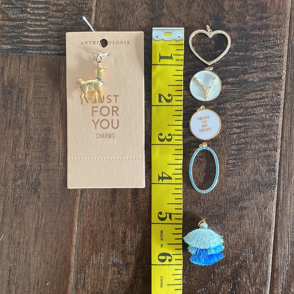 Anthropologie just for you charms lot - Picture 12 of 12
